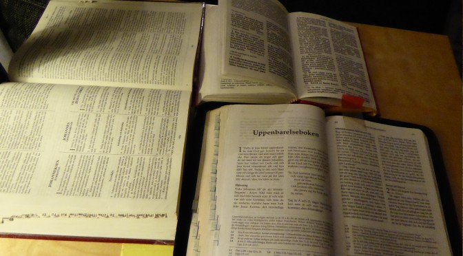 Svenska Folkbiblen 2014 NT lukeminen sanatarkasti sanakirjan avulla
